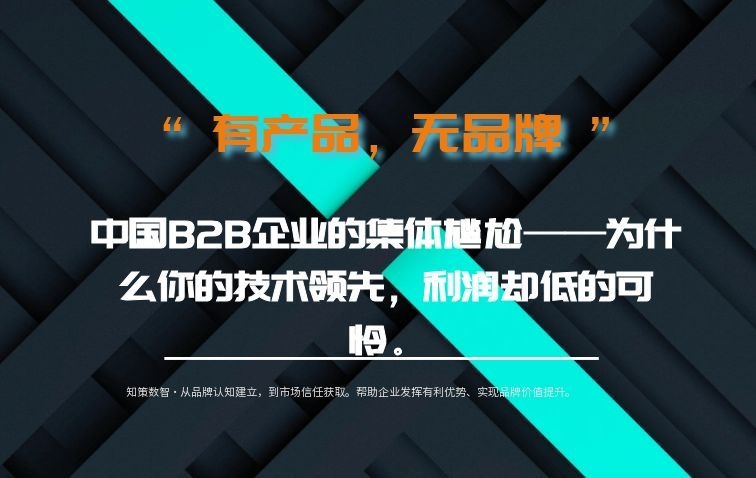 有产品无品牌、有技术无溢价：中国B2B企业的集体尴尬——为什么你的技术领先，利润却低的可怜。